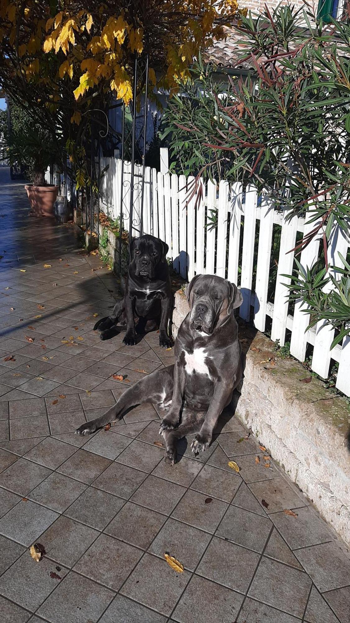 B&B Abracadabra Ghibullo Dış mekan fotoğraf